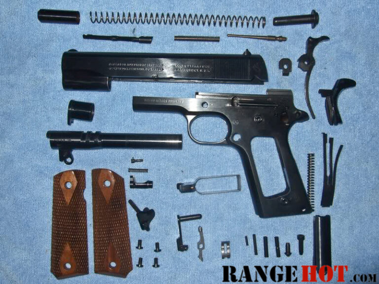 No Tool Detail Strip of the 1911