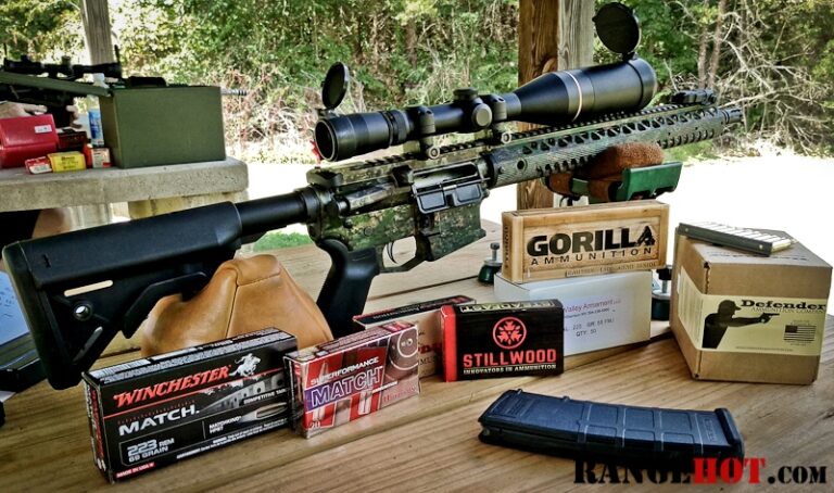 Double D Armory SST, not your father’s AR-15