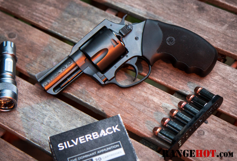 Charter Arms Pitbull 45