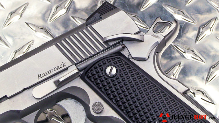 Dan Wesson Razorback, one round to rule them all.