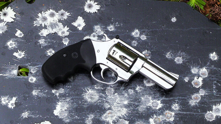 Charter Arms Mag Pug